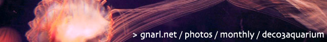 gnarl.net - photos - 01dec03