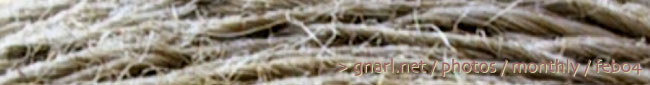 gnarl.net - photos - feb04