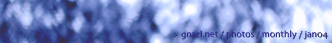 gnarl.net - photos - january04
