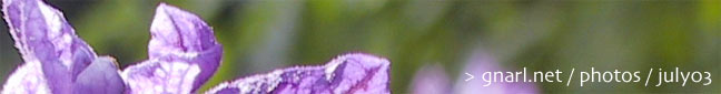 gnarl.net - photos - july03